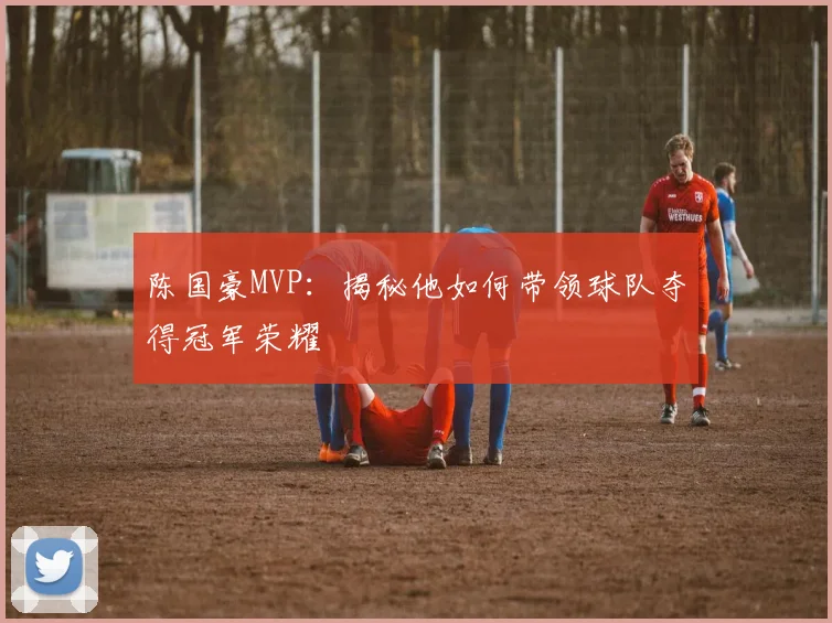 陈国豪MVP：揭秘他如何带领球队夺得冠军荣耀