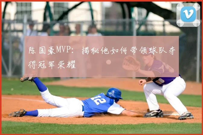 陈国豪MVP：揭秘他如何带领球队夺得冠军荣耀